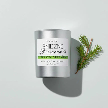 Śnieżne Bieszczady – zapach drogi, lasu i powrotu do domu