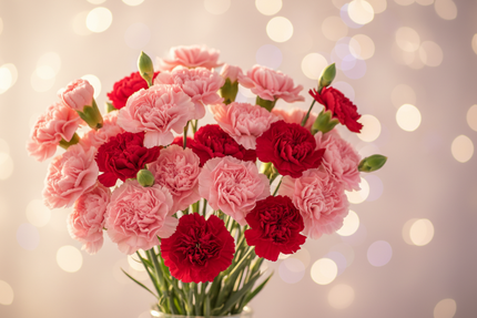 Prezent na Dzień Kobiet: Dlaczego wosk oliwny wygrywa z soją? | Oyasumi