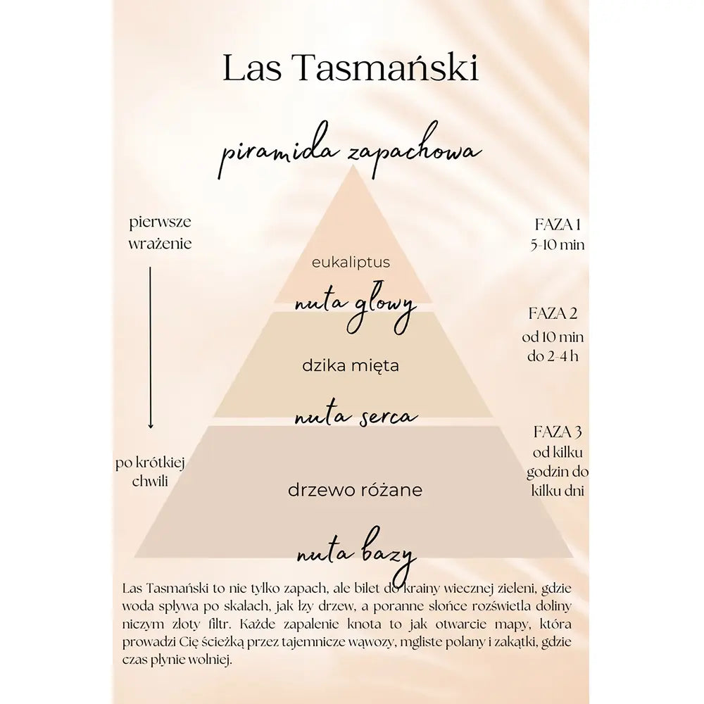 Las Tasmański