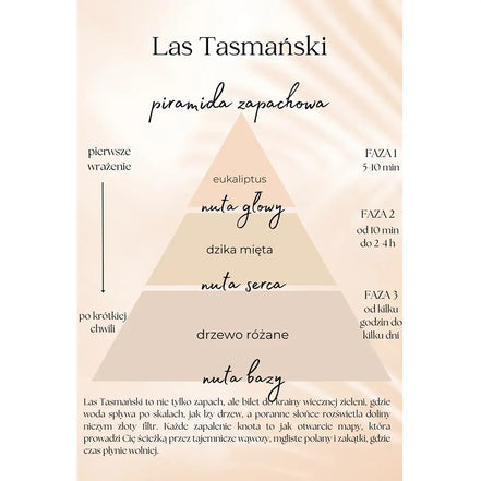 Las Tasmański