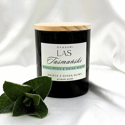 Las Tasmański