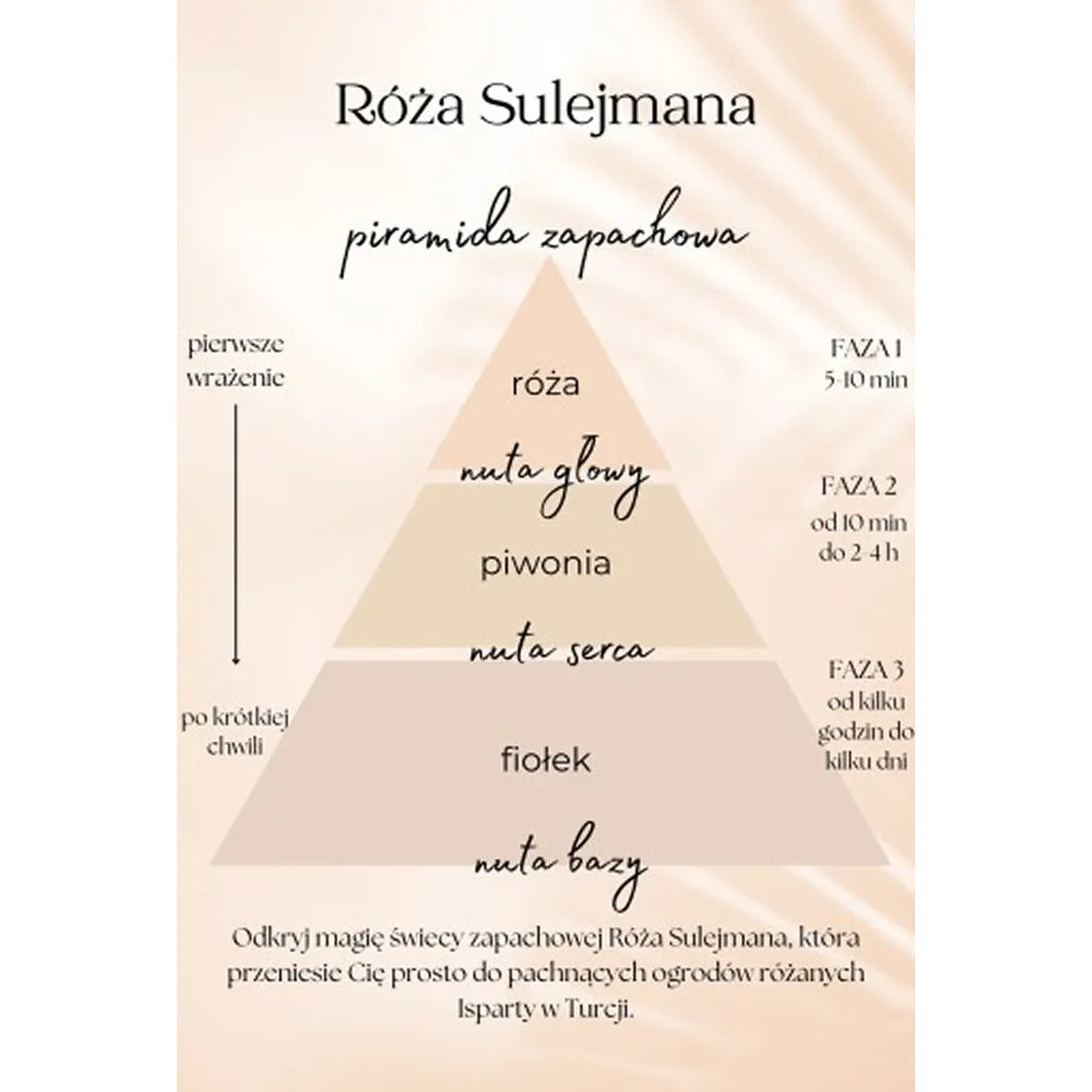 Róża Sulejmana 200g