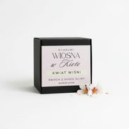 Olive wax for warmers, fireplaces Spring in Kyoto 